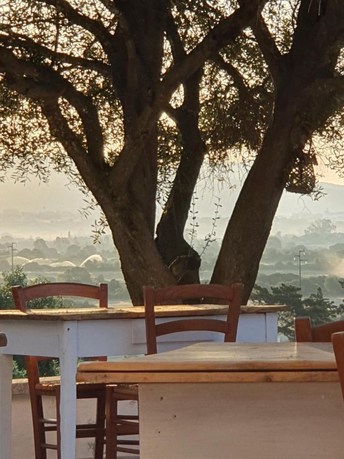 Nacchinono Bed and Breakfast Olbia Eksteriør billede