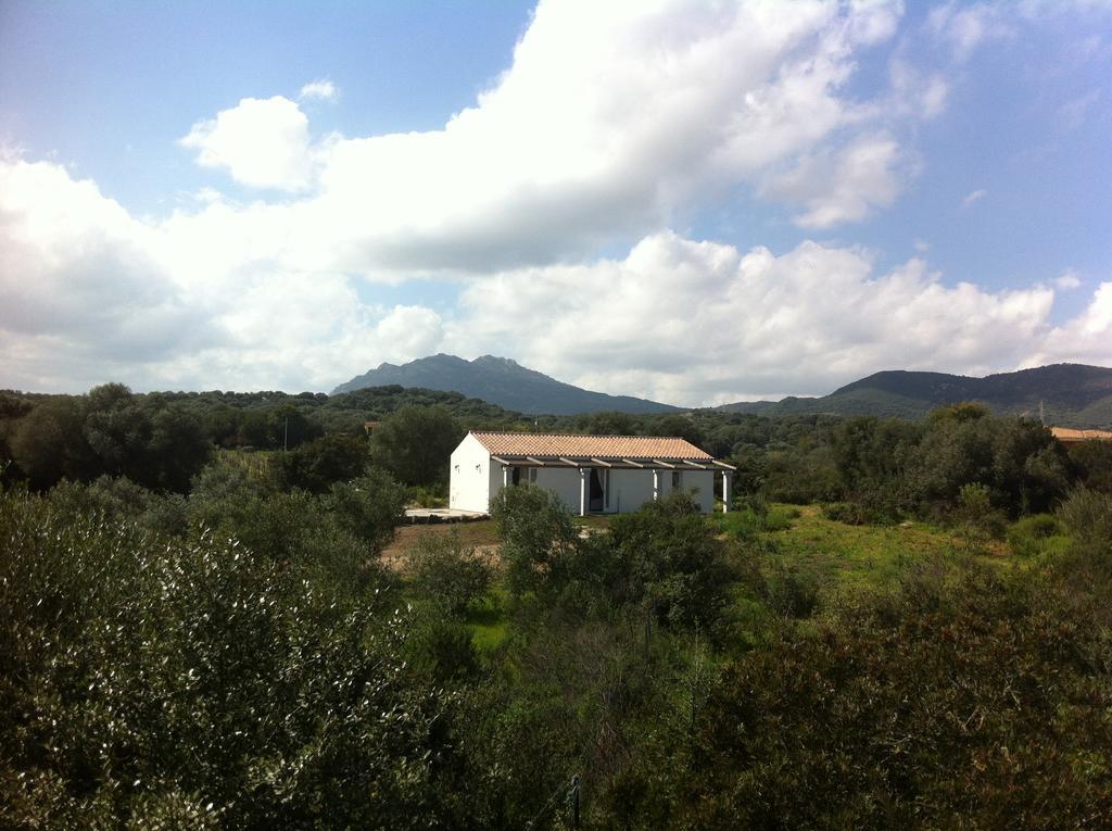 Nacchinono Bed and Breakfast Olbia Eksteriør billede